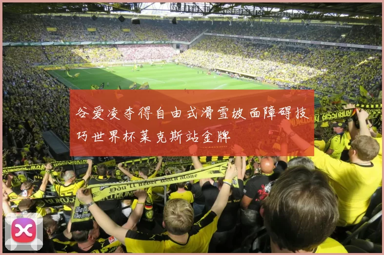 谷爱凌夺得自由式滑雪坡面障碍技巧世界杯莱克斯站金牌