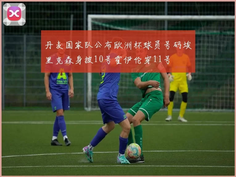 丹麦国家队公布欧洲杯球员号码埃里克森身披10号霍伊伦穿11号