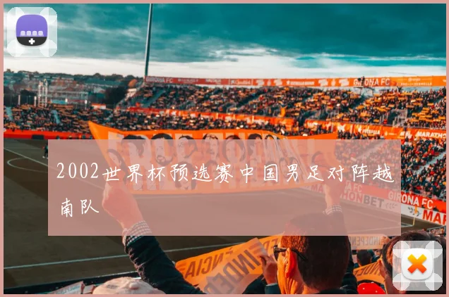 2002世界杯预选赛中国男足对阵越南队