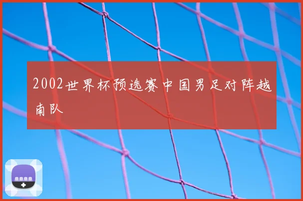 2002世界杯预选赛中国男足对阵越南队