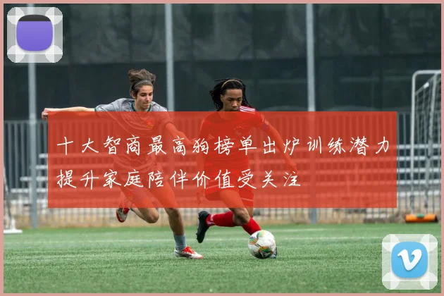 十大智商最高狗榜单出炉训练潜力提升家庭陪伴价值受关注
