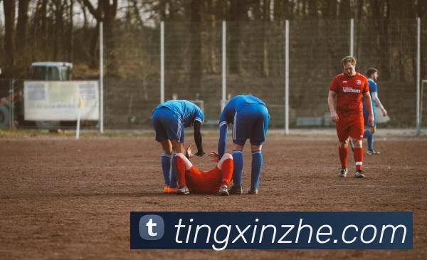 九游体育app官网入口直达服务体系